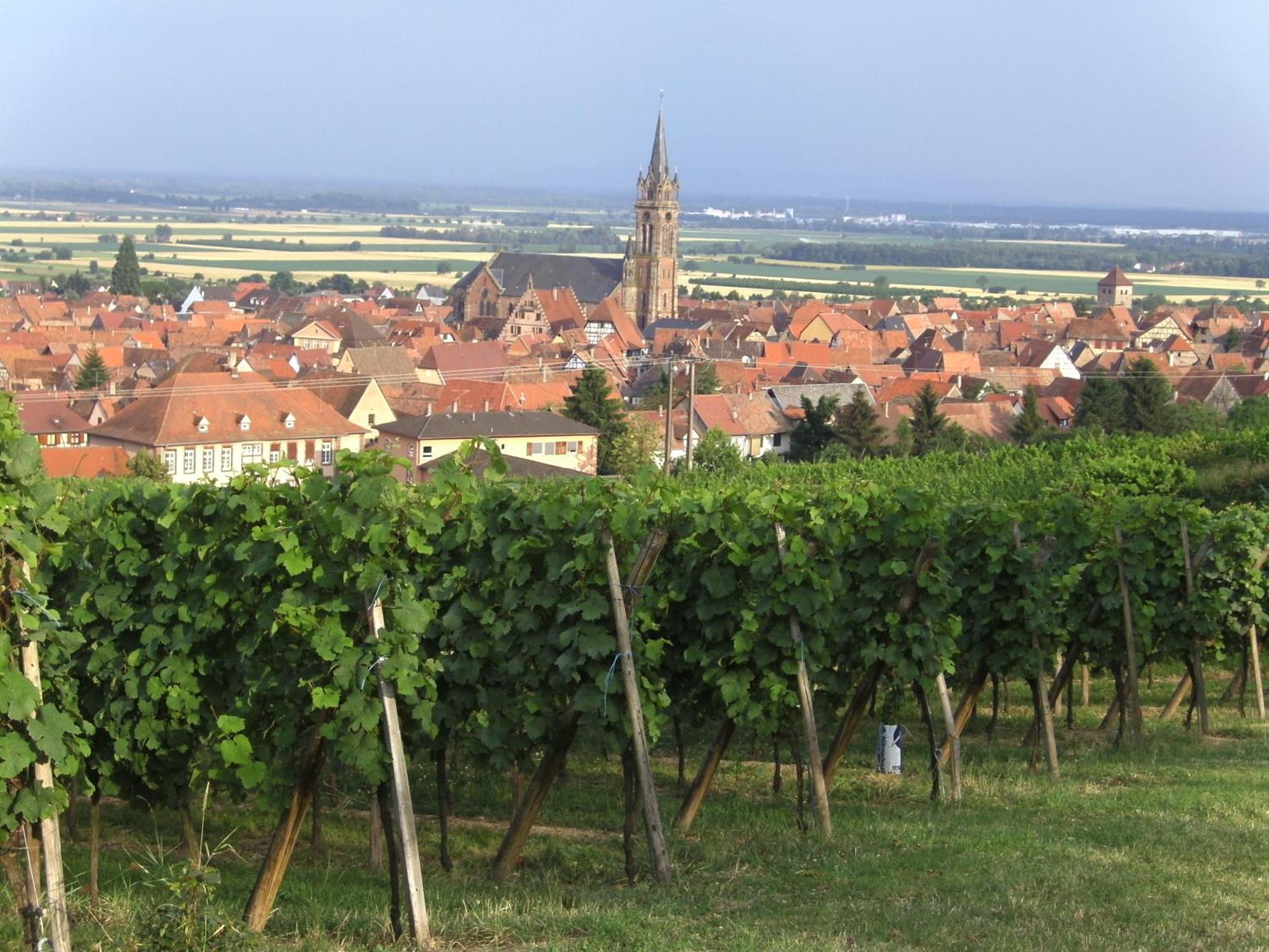 Chambres D'Hotes Arnold Dambach Exteriér fotografie